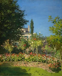 Jardin en fleurs
